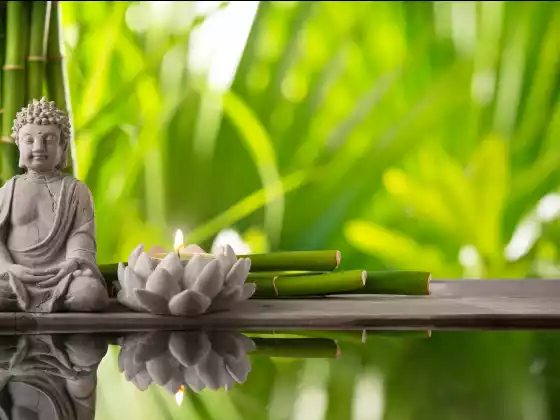 Meditasi Penyembuhan Ling Chi bersama WU Expert Guide Carole Park